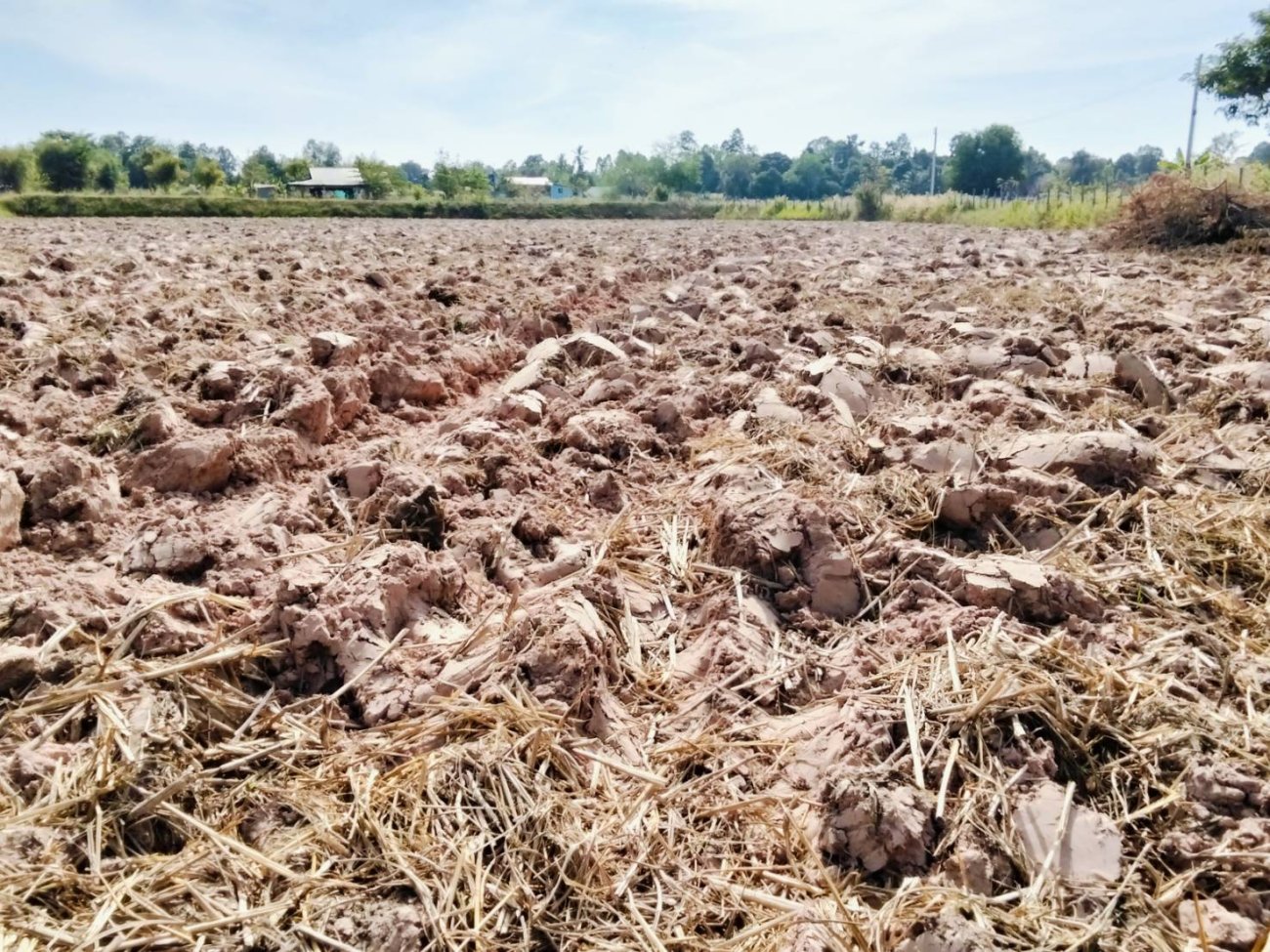 โครงการรณรงค์ไถกลบ  แทนการเผาตอซังข้าว ลดมลพิษทางอากาศ ประจำปี 2569